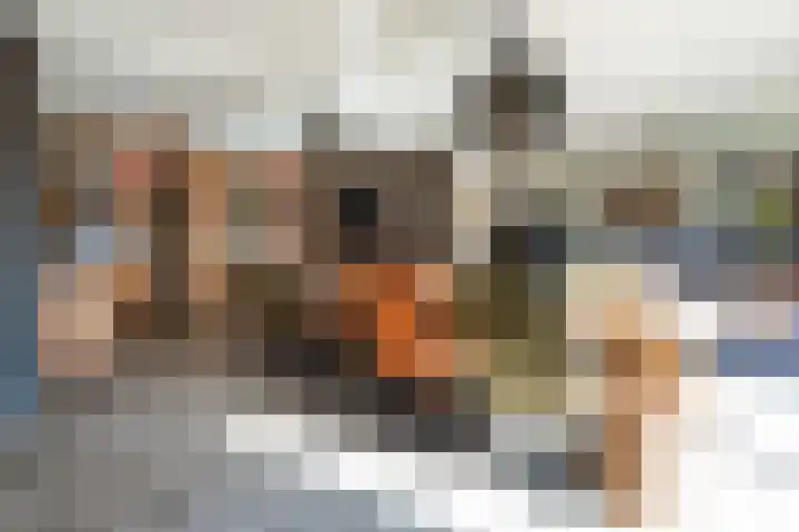 Gierelaar 103 Wouw thumbnail 7