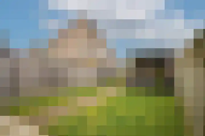 Gieser Wildeman 8 Dodewaard thumbnail 25