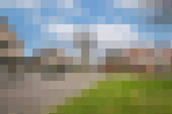 Gieser Wildeman 8 Dodewaard thumbnail 32