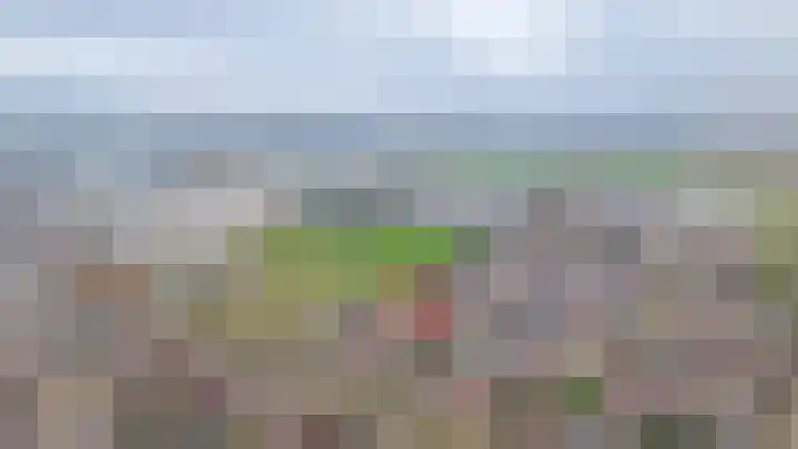 Gieser Wildeman 8 Dodewaard thumbnail 38