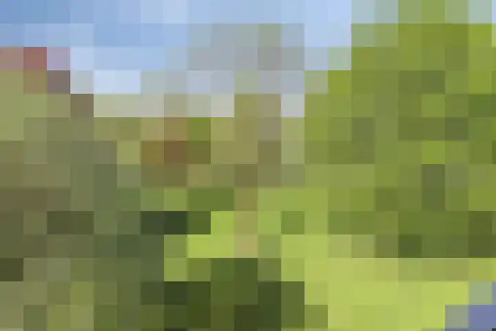 Giessen 11 Apeldoorn thumbnail 14