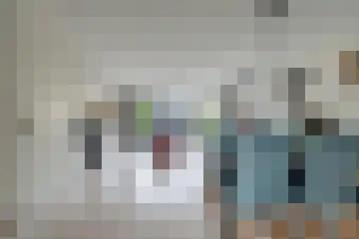 Giessenborch 18 Vianen thumbnail 4