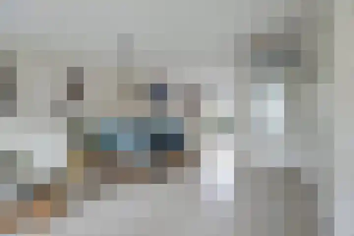 Giessenborch 18 Vianen thumbnail 9