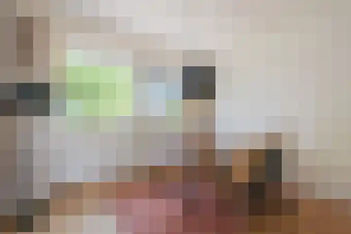 Giessenburg 28 Amsterdam thumbnail 13