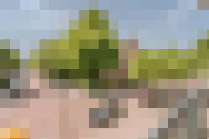 Giessenburg 28 Amsterdam thumbnail 26