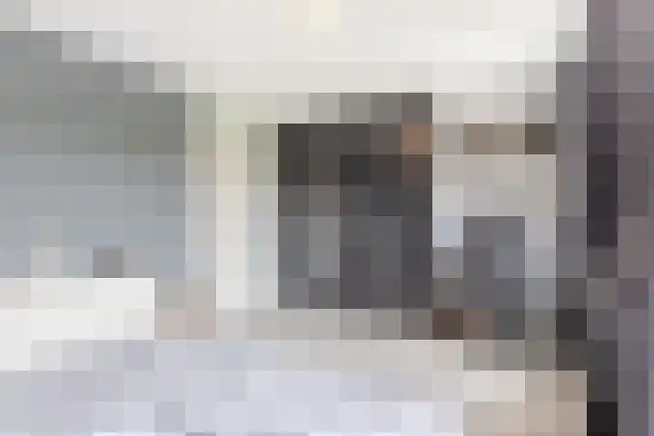 Giessenland 68 Hoornaar thumbnail 15
