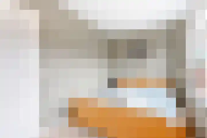 Giessenland 68 Hoornaar thumbnail 16