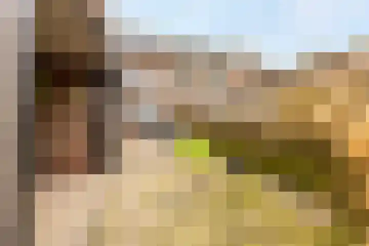 Giessenland 68 Hoornaar thumbnail 24