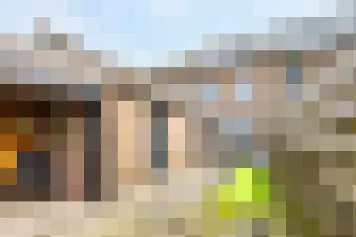 Giessenland 68 Hoornaar thumbnail 25