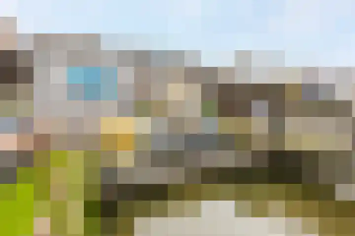 Giessenland 68 Hoornaar thumbnail 26