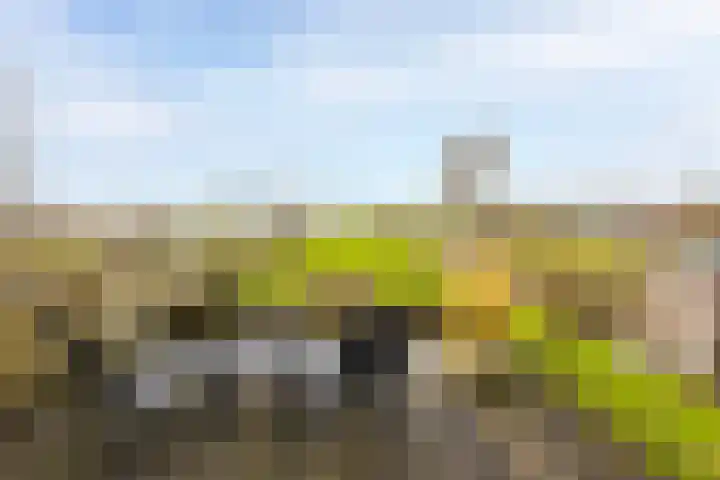 Giessenland 68 Hoornaar thumbnail 27