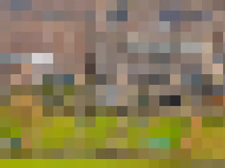 Giessenland 68 Hoornaar thumbnail 29