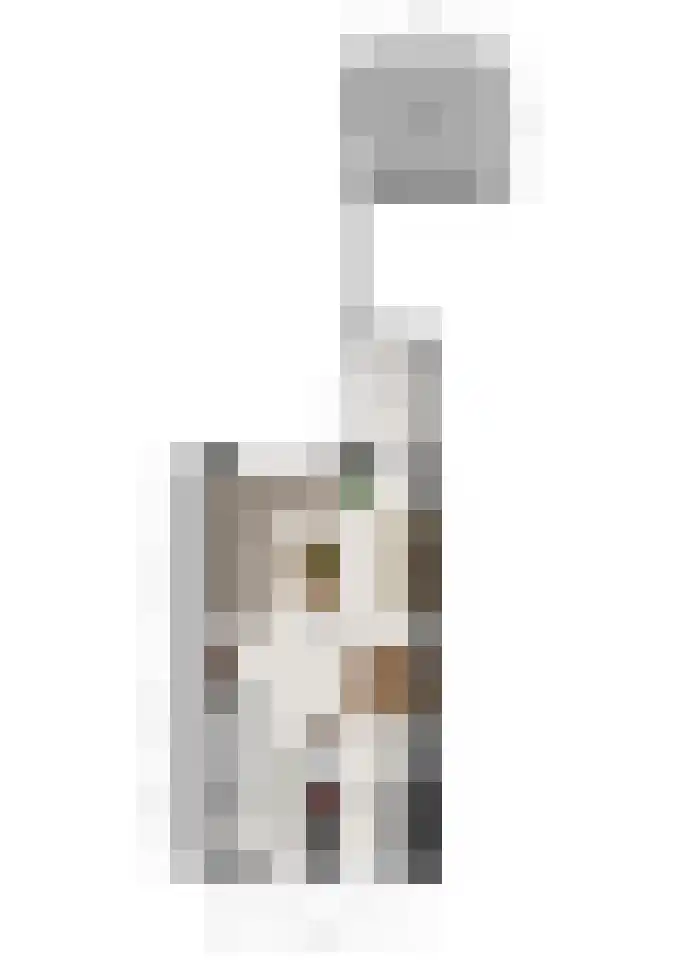 Giessenland 68 Hoornaar thumbnail 32