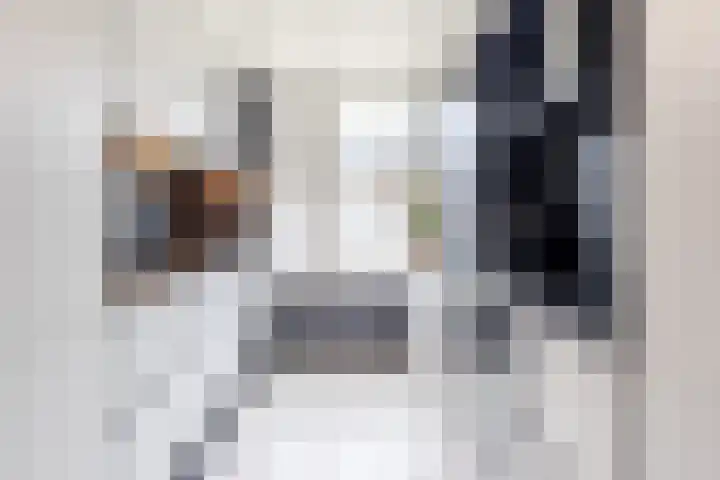 Giessenland 68 Hoornaar thumbnail 4