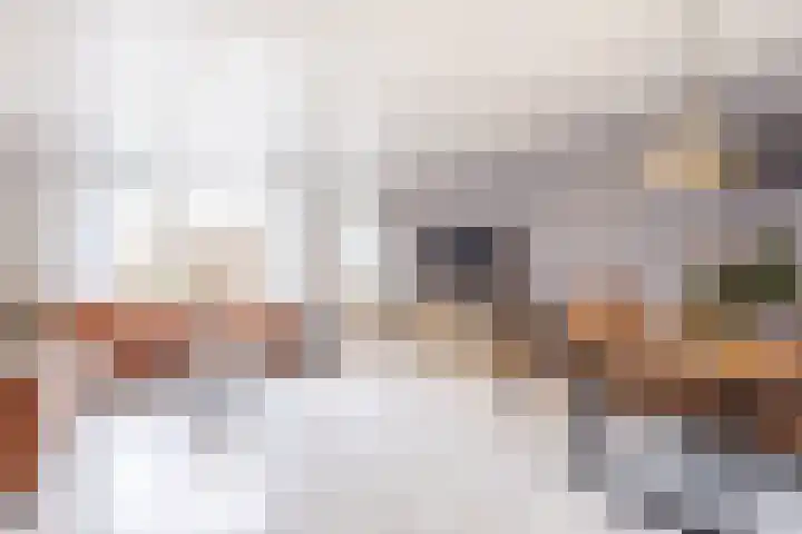 Giessenland 68 Hoornaar thumbnail 6