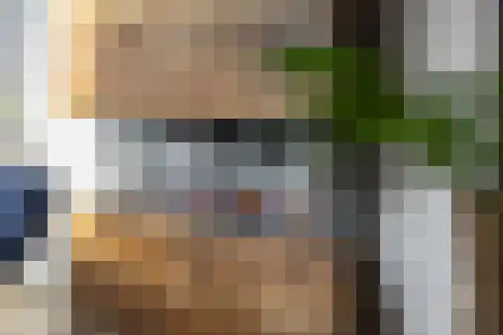 Gieteling 32 Raalte thumbnail 10