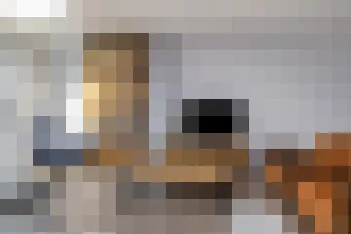 Gieteling 32 Raalte thumbnail 11