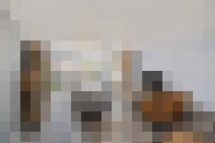 Gieteling 32 Raalte thumbnail 12