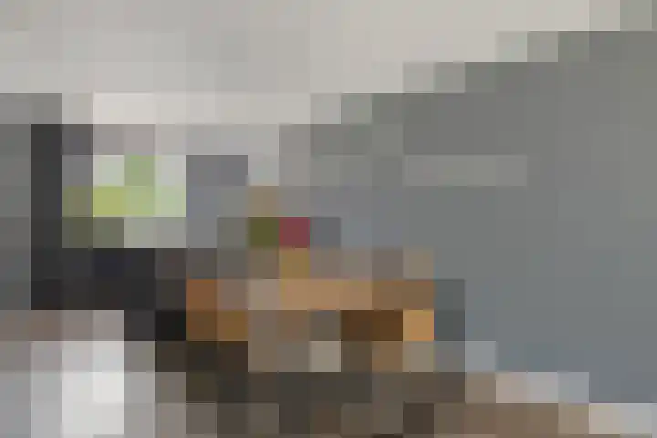 Gieteling 32 Raalte thumbnail 14