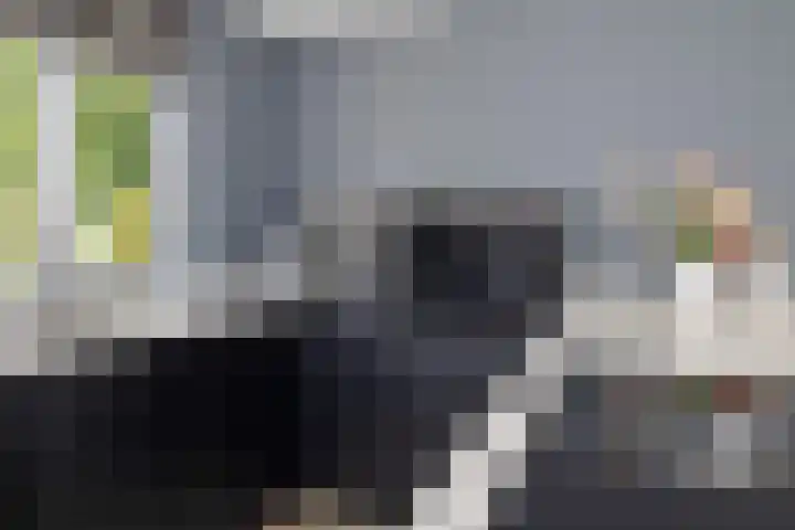 Gieteling 32 Raalte thumbnail 16