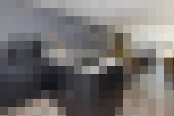 Gieteling 32 Raalte thumbnail 17