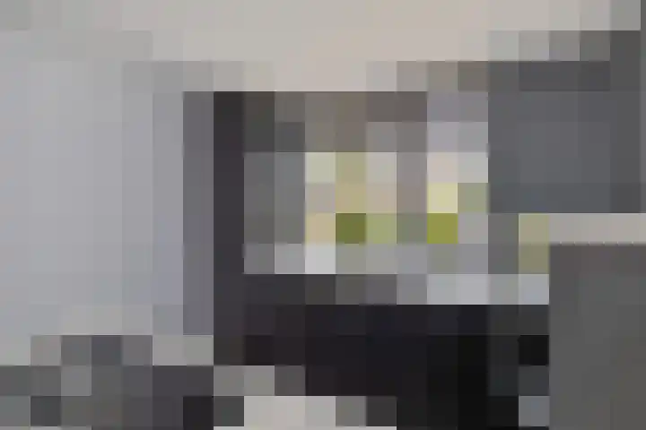 Gieteling 32 Raalte thumbnail 18