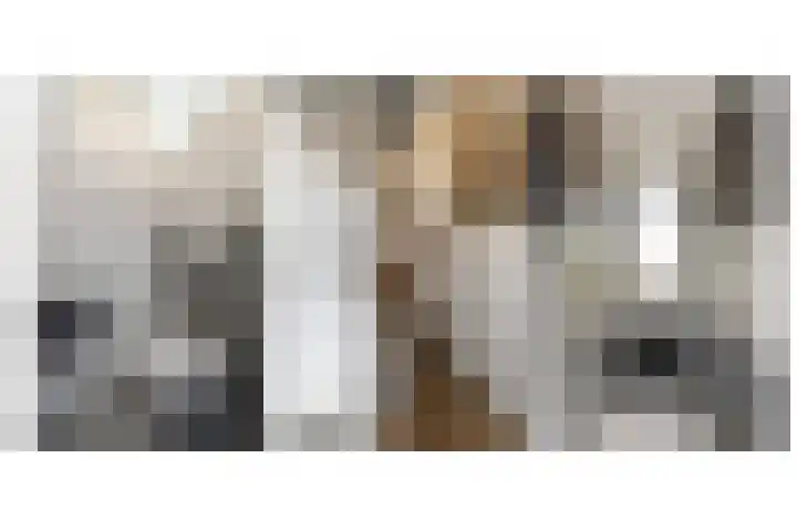 Gieteling 32 Raalte thumbnail 19