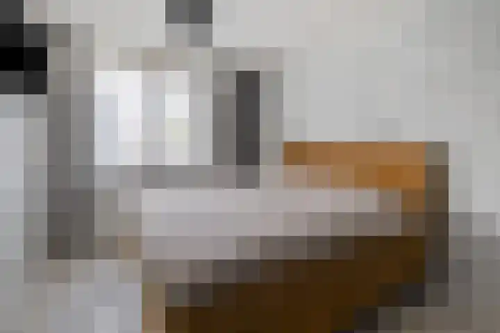 Gieteling 32 Raalte thumbnail 20