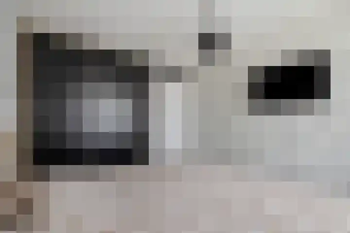 Gieteling 32 Raalte thumbnail 21