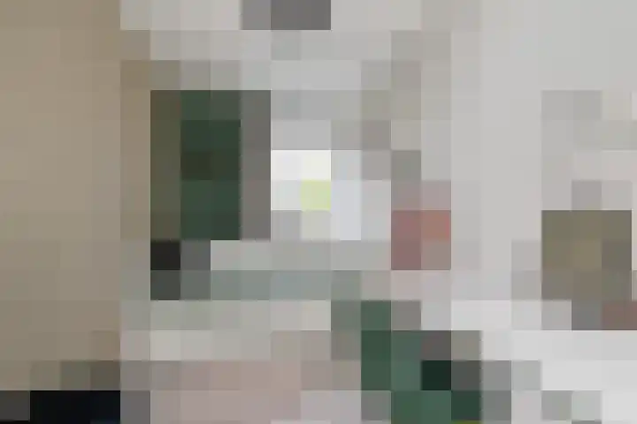 Gieteling 32 Raalte thumbnail 22