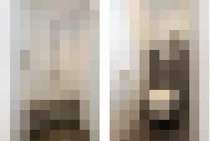Gieteling 32 Raalte thumbnail 25