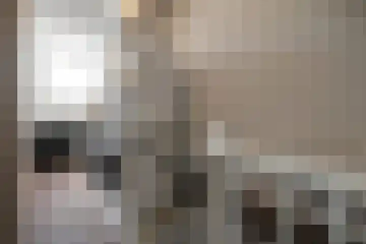 Gieteling 32 Raalte thumbnail 28