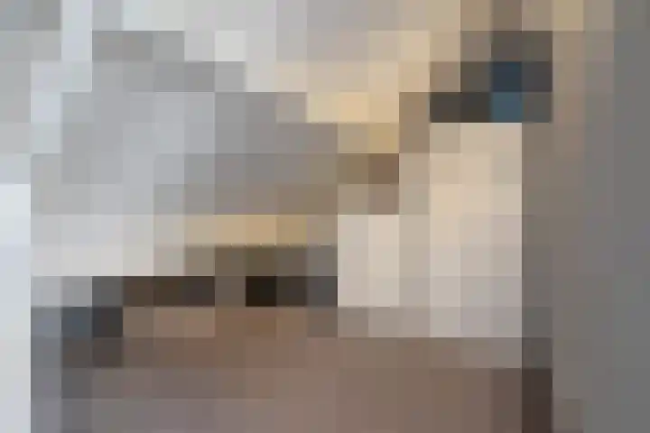 Gieteling 32 Raalte thumbnail 29