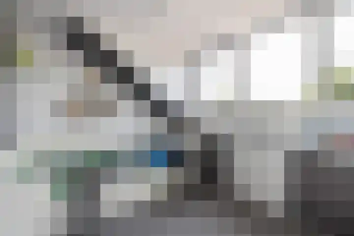 Gieteling 32 Raalte thumbnail 30