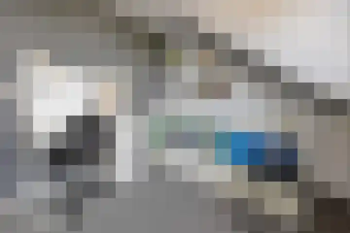 Gieteling 32 Raalte thumbnail 31