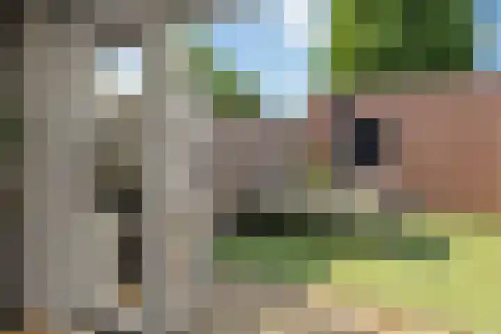 Gieteling 32 Raalte thumbnail 33