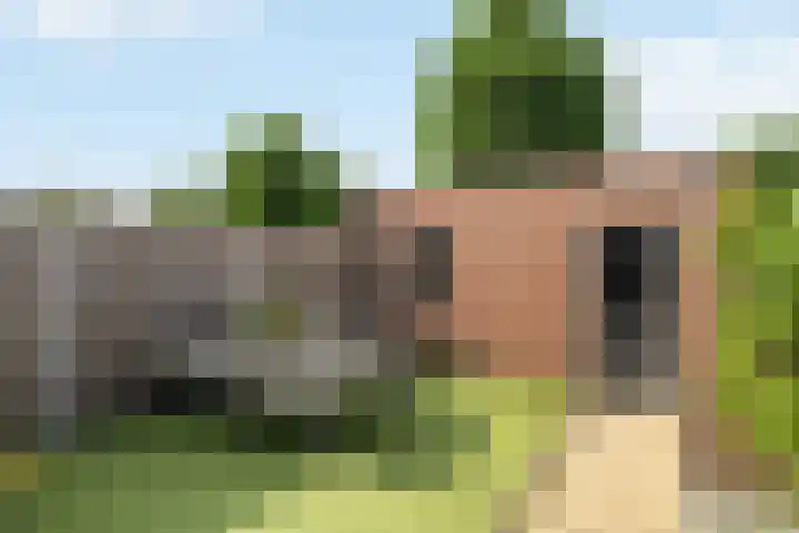 Gieteling 32 Raalte thumbnail 34