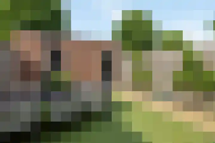 Gieteling 32 Raalte thumbnail 35