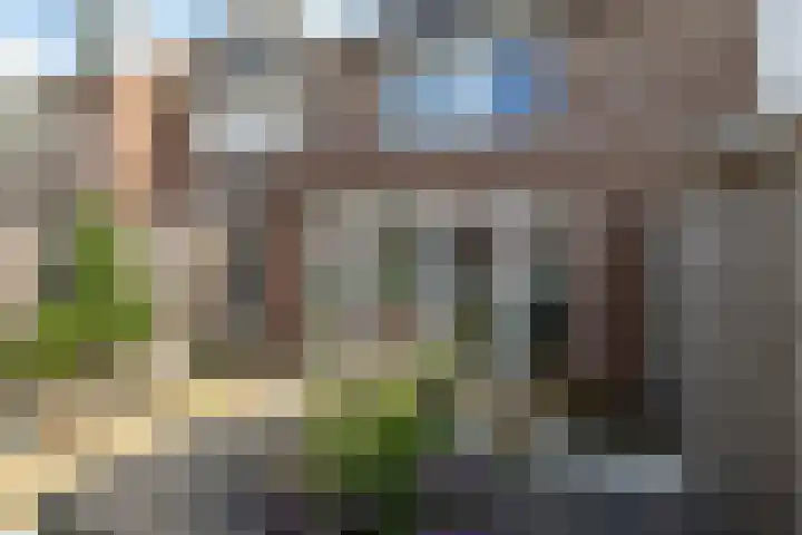 Gieteling 32 Raalte thumbnail 37
