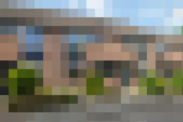 Gieteling 32 Raalte thumbnail 4