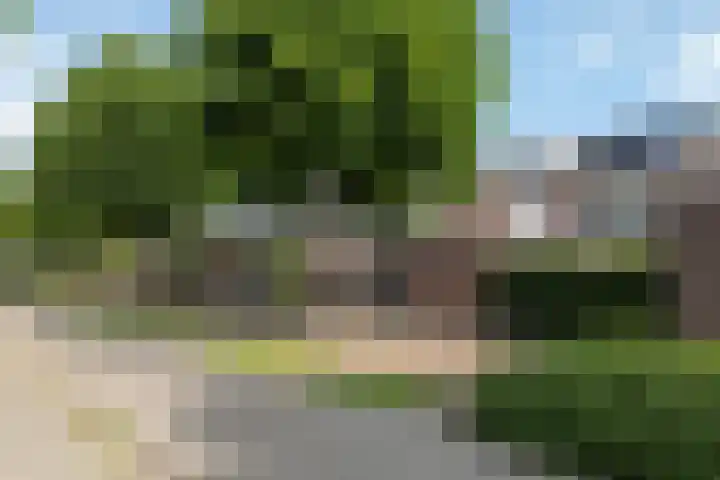 Gieteling 32 Raalte thumbnail 40
