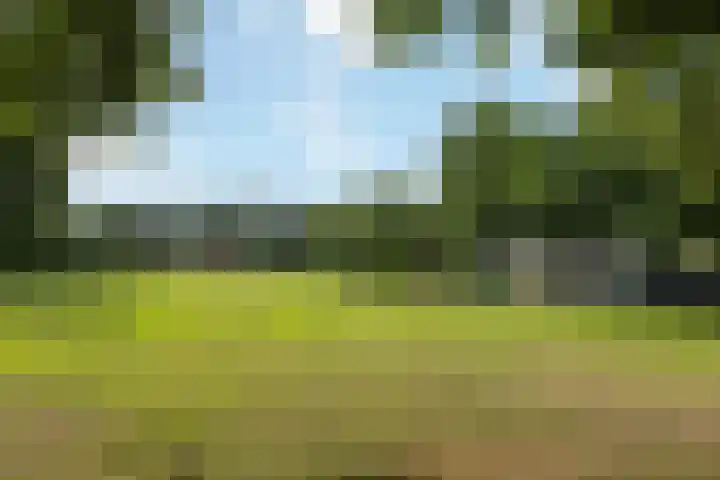 Gieteling 32 Raalte thumbnail 41