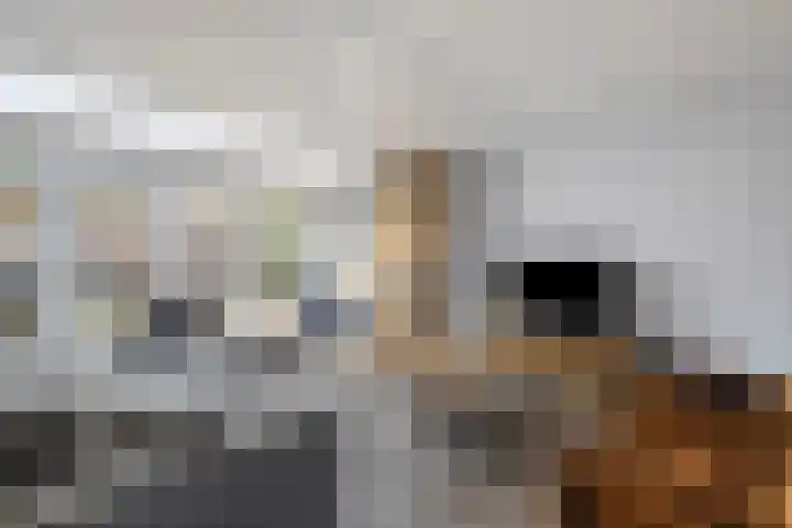 Gieteling 32 Raalte thumbnail 6