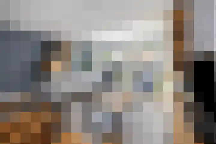Gieteling 32 Raalte thumbnail 7