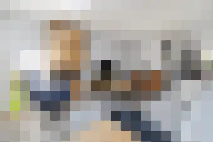 Gieteling 32 Raalte thumbnail 8
