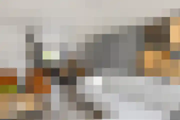 Gieteling 32 Raalte thumbnail 9