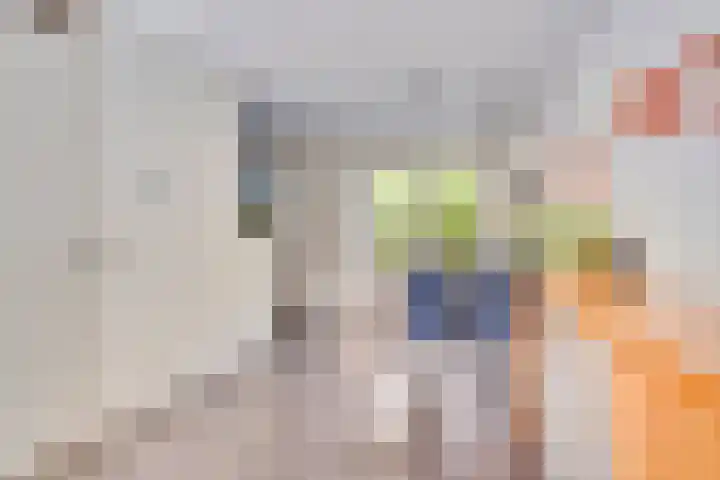 Gieteling 49 Raalte thumbnail 13