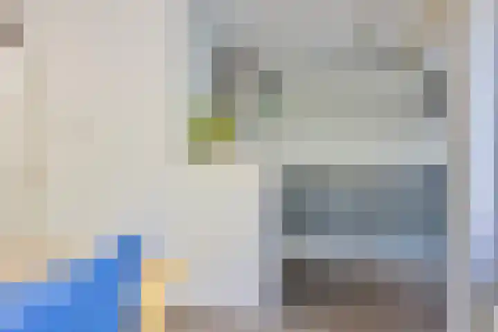 Gieteling 49 Raalte thumbnail 16