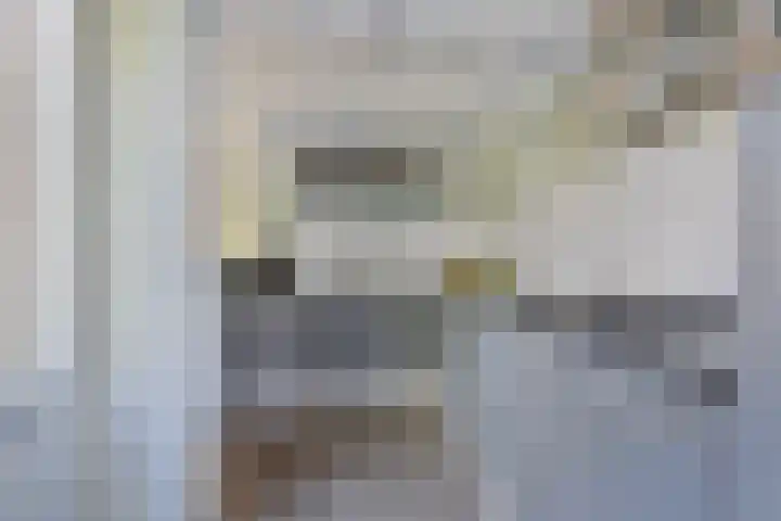 Gieteling 49 Raalte thumbnail 17