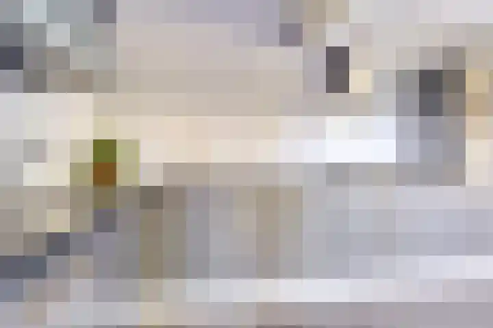 Gieteling 49 Raalte thumbnail 19